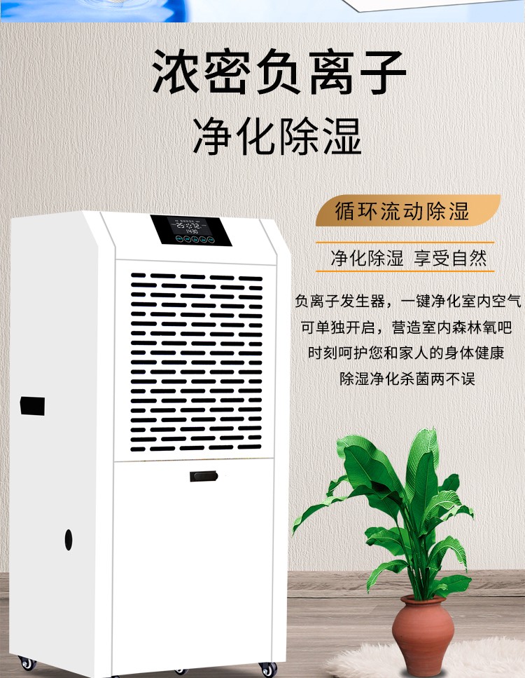 星耀国际 70a31
